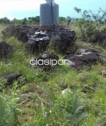 Emboscada: 20 has, ideal p/ granja, fin de semana, ganadería, etc, 100.000.000 gs/ha, foto 5