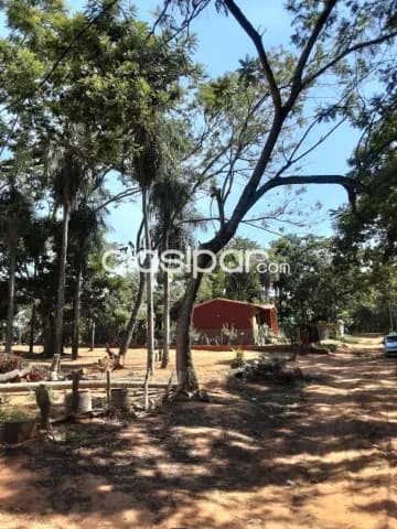 Terrenos ruta Luque sanber — foto 3
