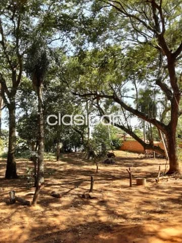 Terrenos ruta Luque sanber — foto 4