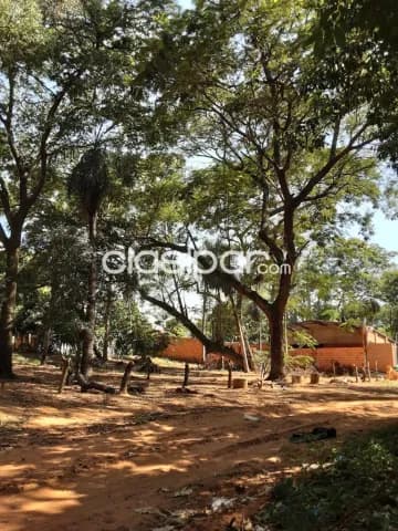Terrenos ruta Luque sanber — foto 5