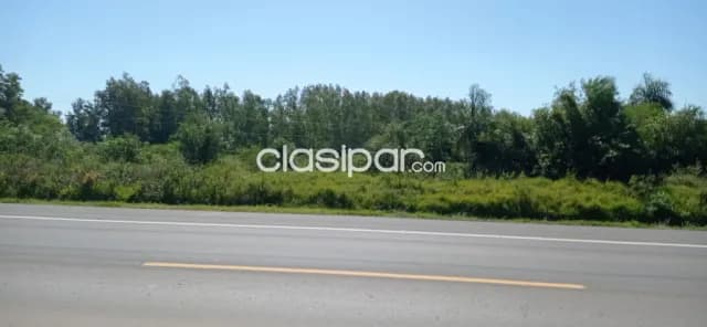 Vendó propiedad de 27544mts2 sobre ruta Villeta, villa Oliva — foto 3