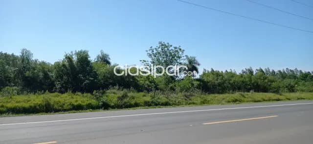 Vendó propiedad de 27544mts2 sobre ruta Villeta, villa Oliva — foto 5