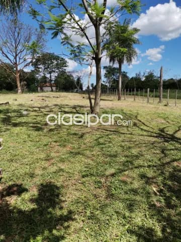 En Ypane, Vendo 5 Hermosos lotes de 360mts2 cada uno, foto 2