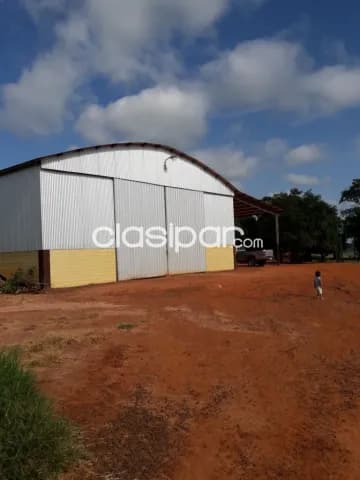 S.pedro ycuamandiyú: 100% agricola ganadera, 1003 has, ubicación ideal, 6.000 usd/ha, foto 3