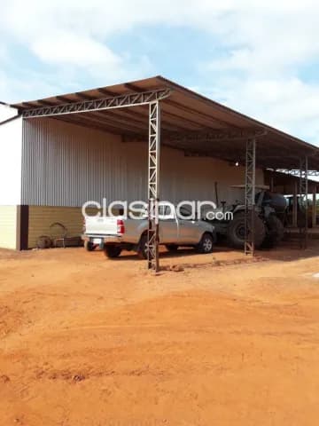 S.pedro ycuamandiyú: 100% agricola ganadera, 1003 has, ubicación ideal, 6.000 usd/ha, foto 5