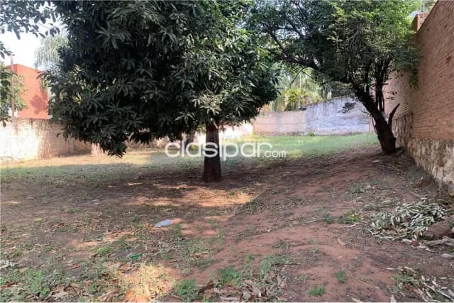 Terreno en Carmelitas zona casa Rica, foto 5