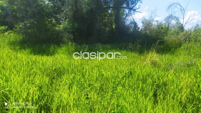 3 lotes en San Bernardino, total 1.477m² de superficie en zona premium, foto 4