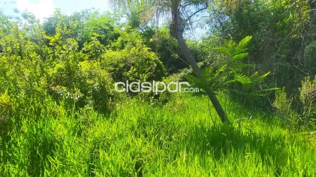 3 lotes en San Bernardino, total 1.477m² de superficie en zona premium, foto 5