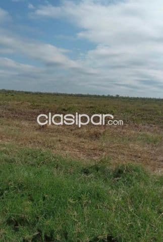 Estancia de 4.060 Hectáreas, en Fuerte Olimpo. Alto Paraguay - CLCS4761355