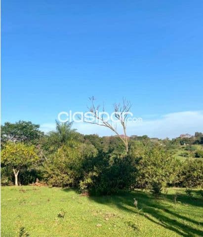 Terreno Rural en Minga Guazú Km 30 - 13 Ha, foto 1