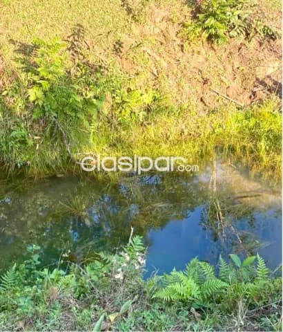 Terreno Rural en Minga Guazú Km 30 - 13 Ha, foto 3