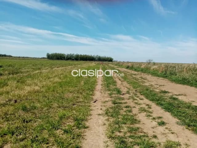 hermoso campo de 114 hectáreas en Coronel Bogado - CLCS4765611, foto 4