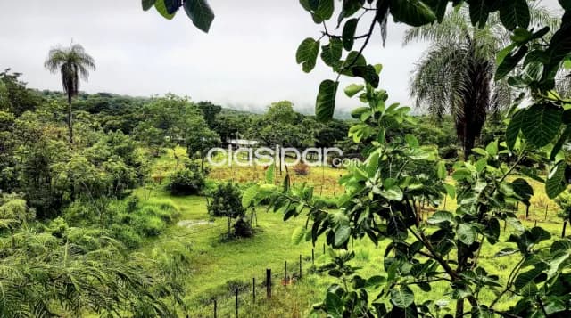 Granja Modelo en Emboscada - 6 Ha, foto 3