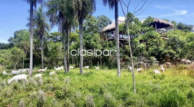 Granja Modelo en Emboscada - 6 Ha, foto 4