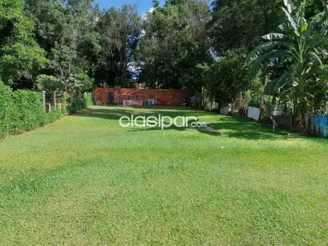 2 hermosos terrenos juntos barrio laurelty Luque — foto 4