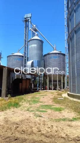 Caazapá: 2.200 has mecanizadas, infraestructura de avandas s/ rio tebicuary, 6.000 usd/ha — foto 5