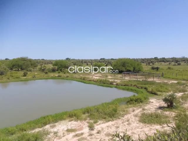 Estancia de 4350 has en villa hayes - lcs4781311 — foto 2