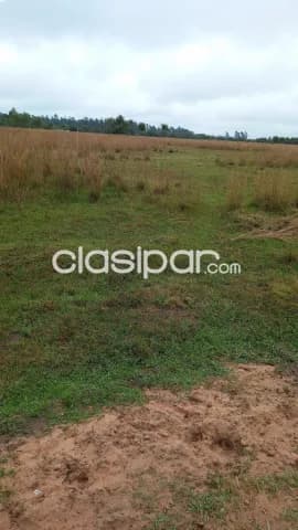Ypane Especial para casa quinta — foto 3