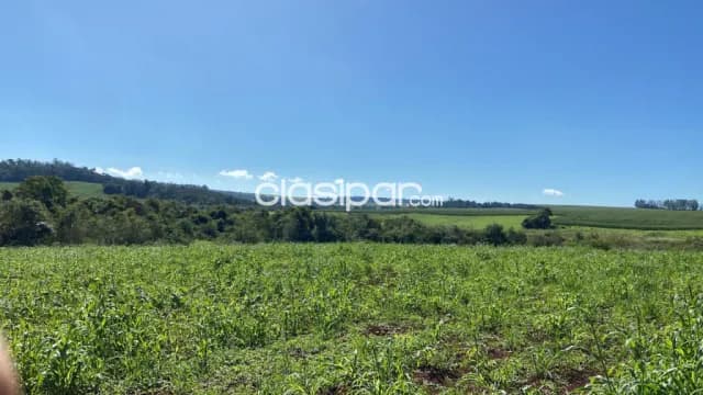 Naranjito – itapúa: 245 has, 80% mecanizada, p/ soja, suelo mixto, infraestructura, foto 5