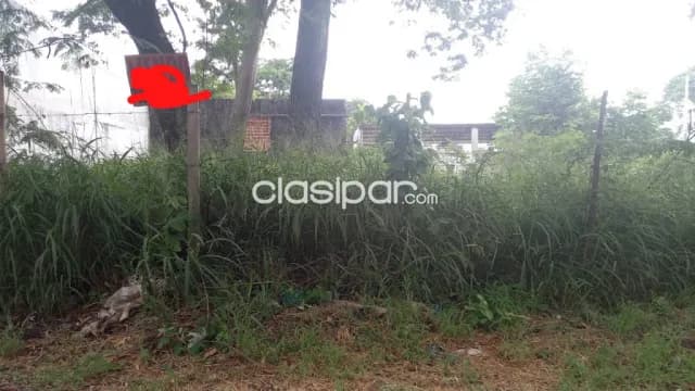 Terreno zona palacio de justicia s/avda.moises bertoni San Lorenzo, foto 2