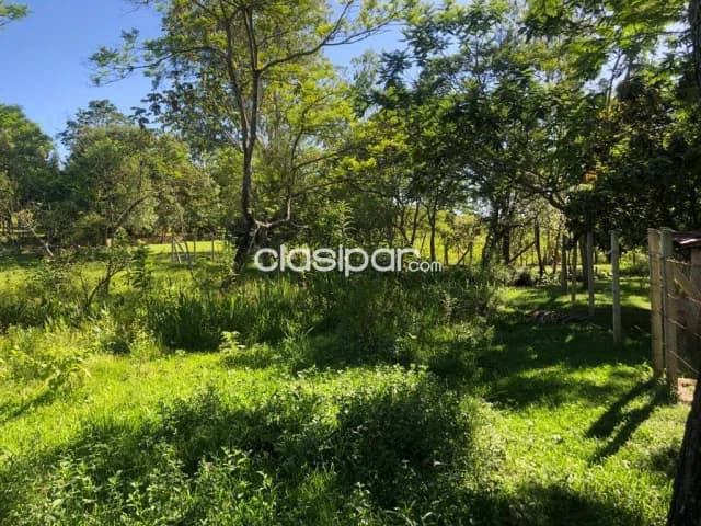 Remato amplio terreno en Itacurubi de la Cordillera — foto 5