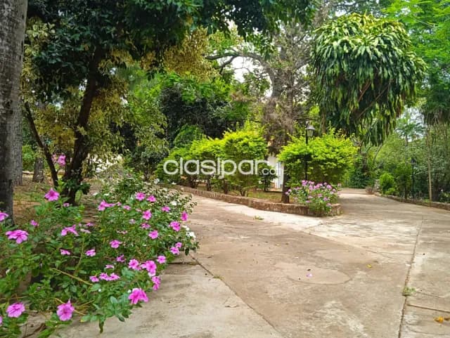 Granja Modelo en Isla Alta, Emboscada de 6hts-LHO4807797 — foto 5