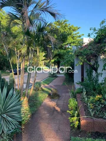 Murucuyá, oportunidad! P/ casa u oficina, todo pb, ubicación privilegiada, 5.300.000 gs, foto 4