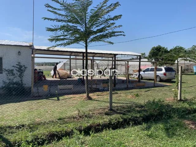 Granja horticola, producción hidroponica intensiva loma grande, 2has — foto 3