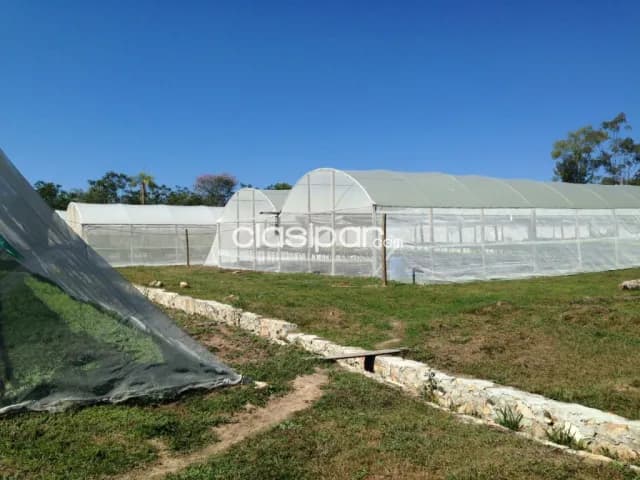 Granja horticola, producción hidroponica intensiva loma grande, 2has — foto 4