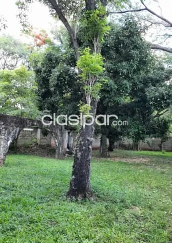 Amplio Terreno de 736 m2. en Areguá, Zona Céntrica, foto 3