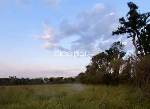Campo en Tobati sobre Ruta Pavimentada - 100 Ha, foto 1