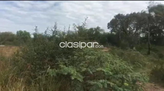 Campo en Tobati sobre Ruta Pavimentada - 100 Ha, foto 4