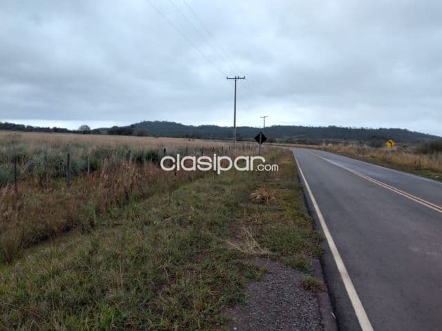 Campo Agrícola/Ganadero en Eusebio Ayala sobre Ruta Pavimentada - 62 Ha