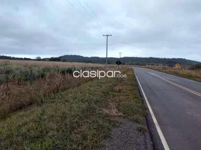 Campo Agrícola/Ganadero en Eusebio Ayala sobre Ruta Pavimentada - 62 Ha, foto 2