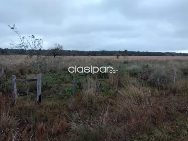 Campo Agrícola/Ganadero en Eusebio Ayala sobre Ruta Pavimentada - 62 Ha, foto 3