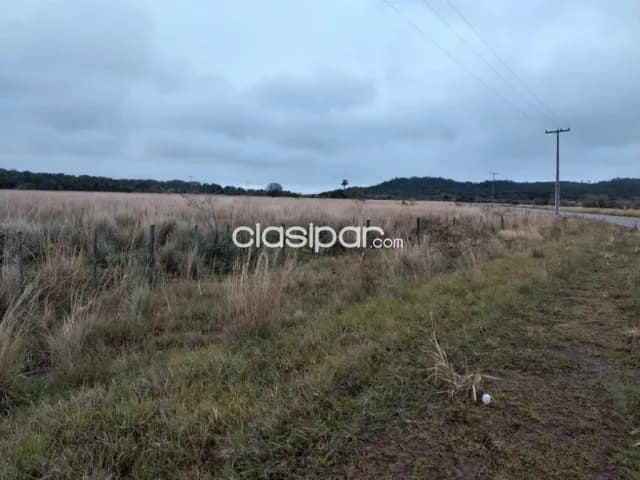 Campo Agrícola/Ganadero en Eusebio Ayala sobre Ruta Pavimentada - 62 Ha, foto 5