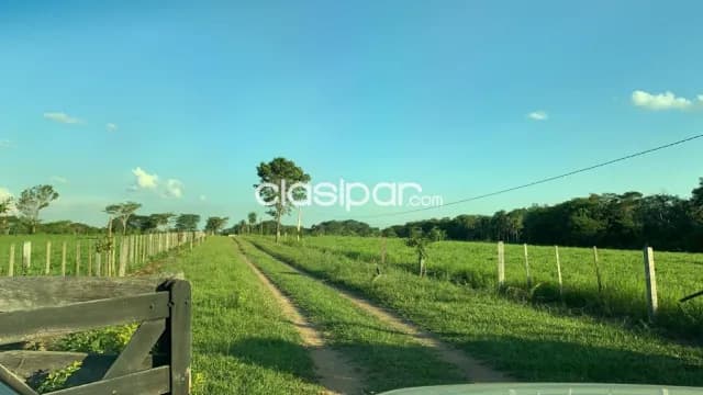 Campo Agricola Ganadero En Ybycui 26 Ha — foto 2