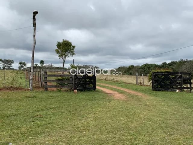 Campo Agricola Ganadero En Ybycui 26 Ha — foto 4