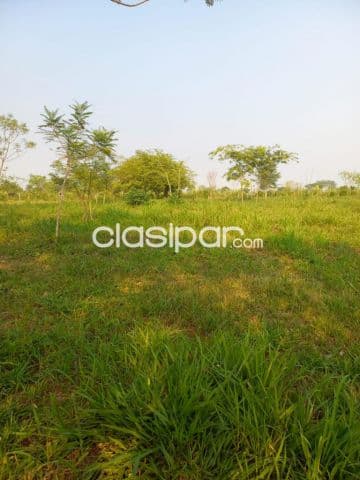 Granja Agrícola/Ganadera en Dr. Cecilio Báez - 20 Ha — foto 1