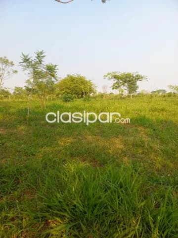 Granja Agrícola/Ganadera en Dr. Cecilio Báez - 20 Ha — foto 2