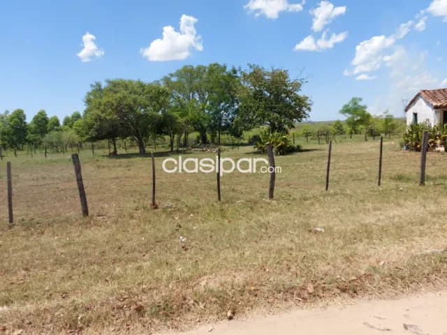 hermoso terreno de 16.50 X 56 metros en Villa Florida. J4187, foto 5