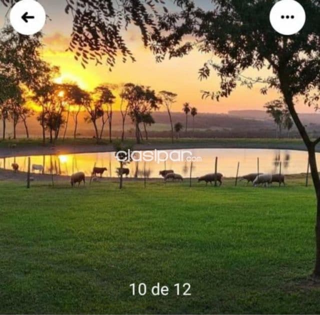 Caazapa – tranquera cerrada: 830 has, totalmente equipada + pastura implantada