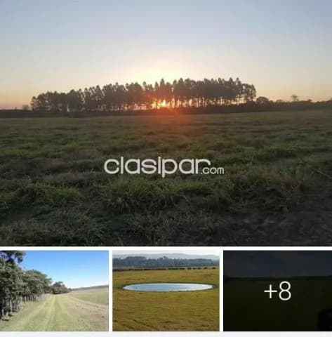 Caazapa – tranquera cerrada: 830 has, totalmente equipada + pastura implantada — foto 3