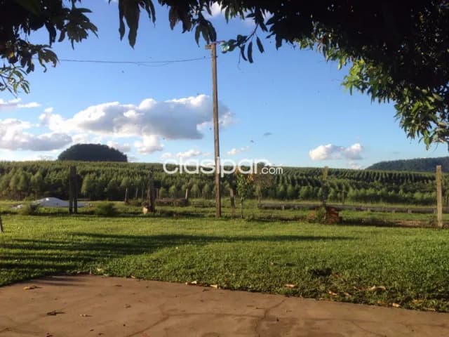 Caazapa – tranquera cerrada: 830 has, totalmente equipada + pastura implantada — foto 5