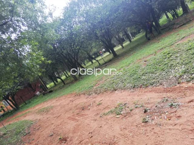 4 terrenos juntos en ypane zona juzgado de paz de ypane, foto 4