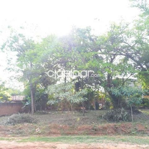 Terreno en Luque barrio loma merlo cod 1671 — foto 1
