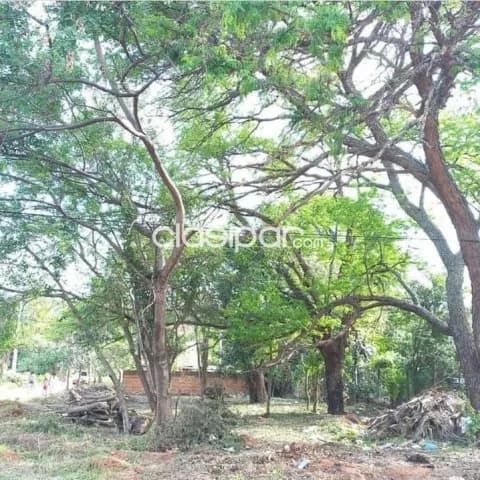 Terreno en Luque barrio loma merlo cod 1671 — foto 3