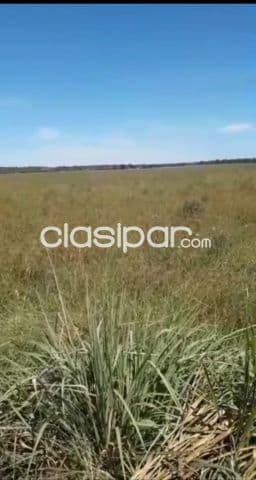 Paraguarí: Rento 2.500 has, p/ agro-ganadería, alta rentabilidad, precio a convenir — foto principal