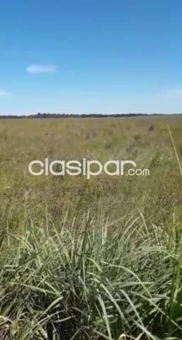 Paraguarí: Rento 2.500 has, p/ agro-ganadería, alta rentabilidad, precio a convenir — foto 3