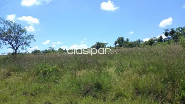 Nva. Colombia – cordillera: 46 has, optimas p/ loteamientos, club de campo, granja, etc — foto 3